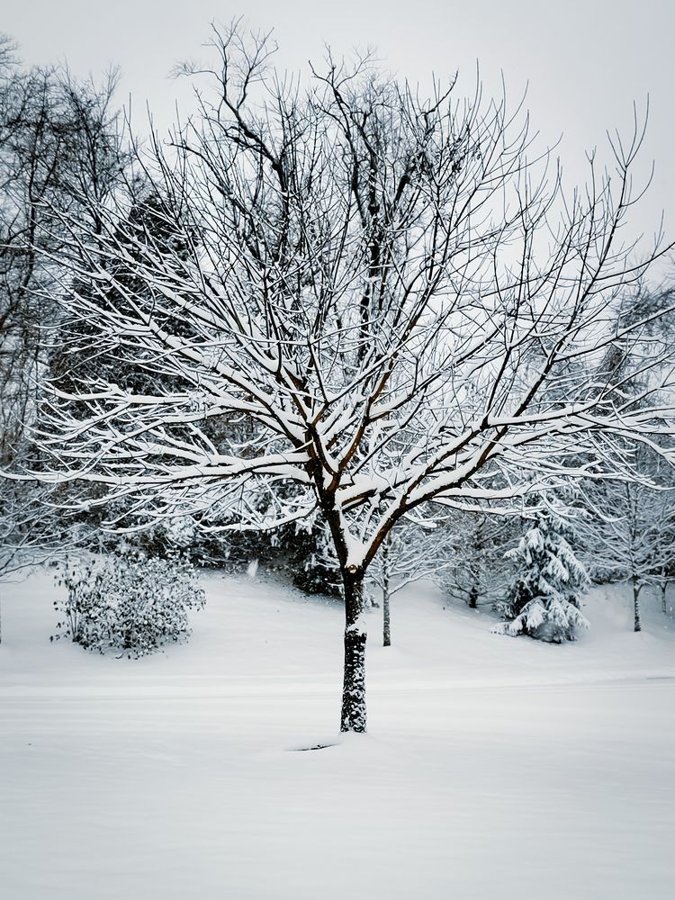 Photograph by Виктория Федосеенко