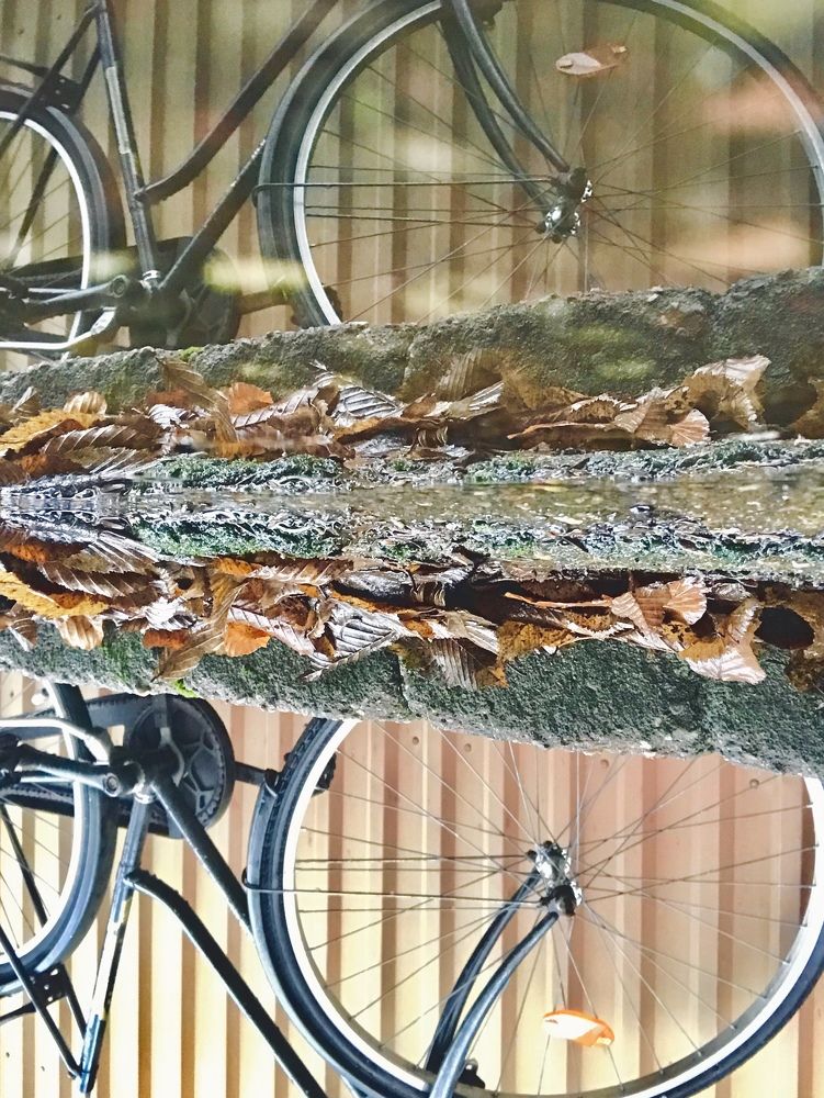 Photograph by Valentina Jegorova