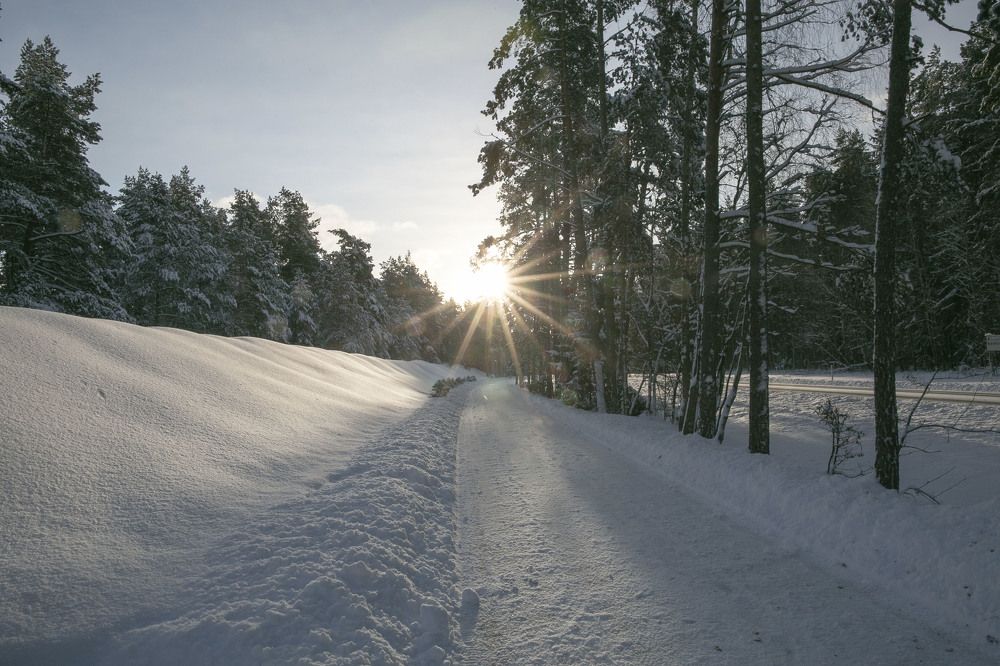 Photograph by Наталья Катюжанская