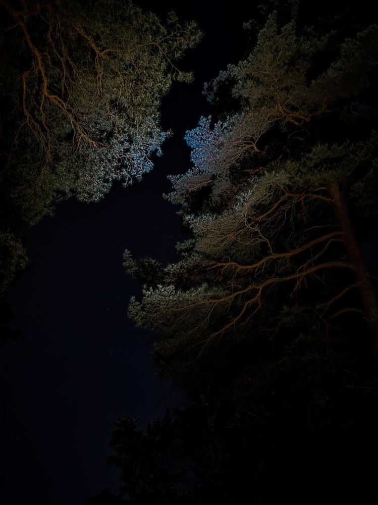 Photograph by Marianna