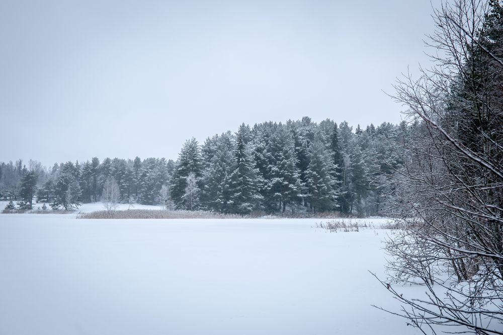 Photograph by Наталья Катюжанская