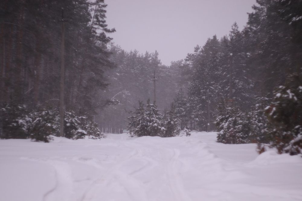 Photograph by Елена Квасова