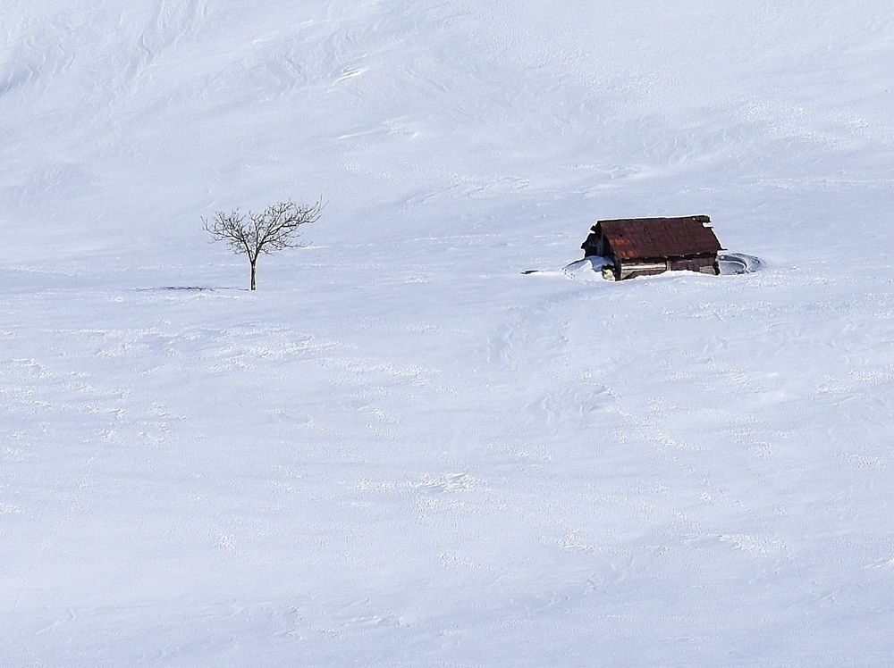 Photograph by seyyed mohammad andy