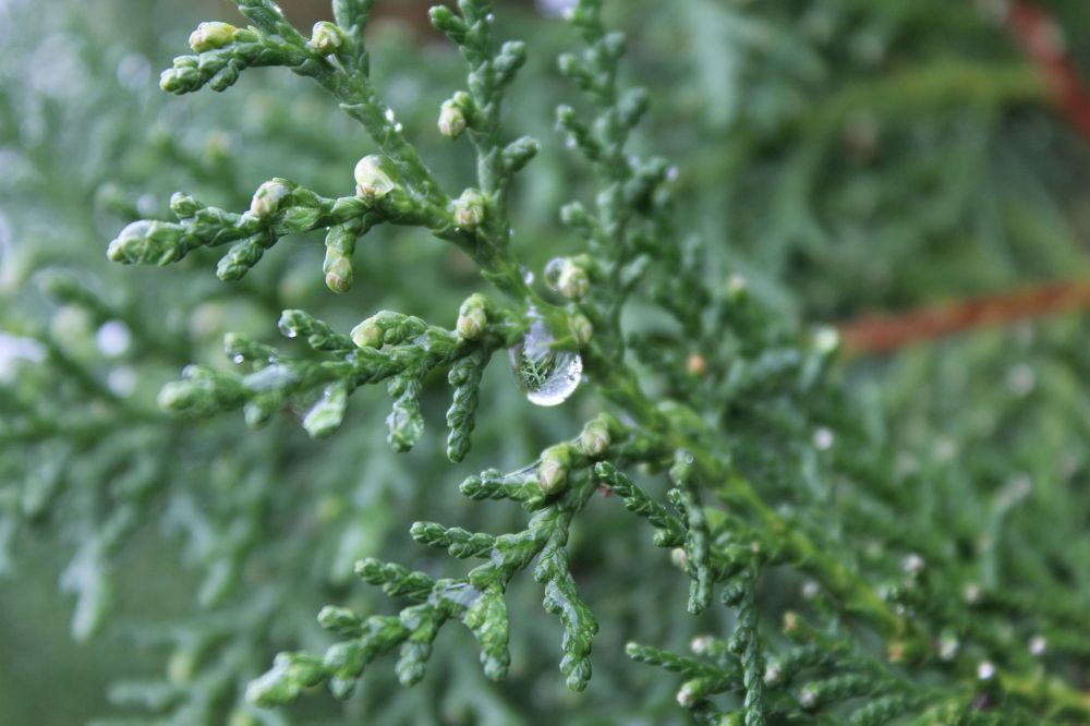 Photograph by Yordanka Vasileva