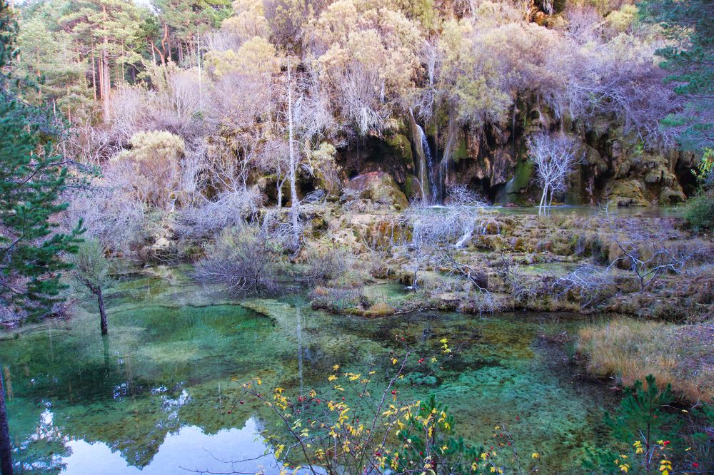 Photograph by CARMEN RAMON CAMI