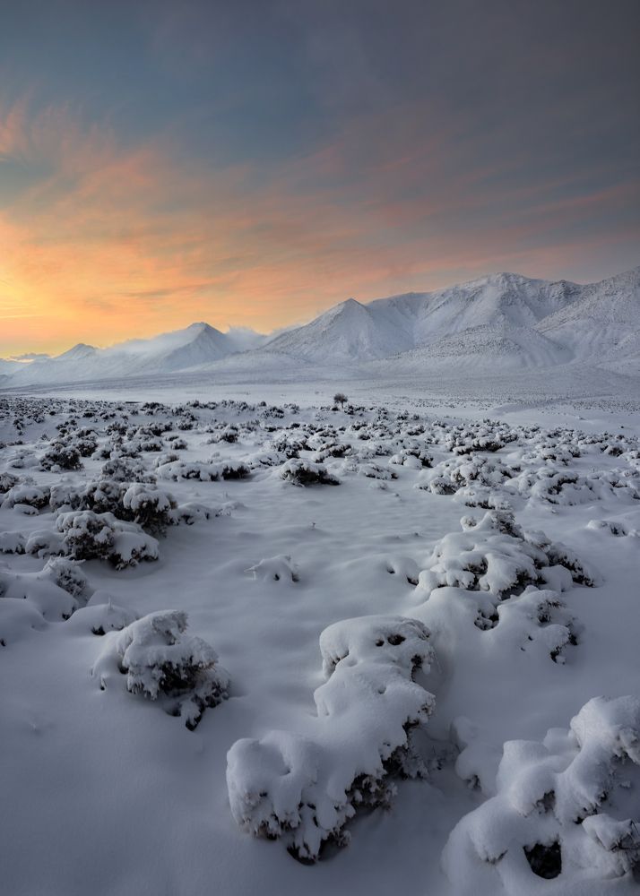 Фотография автора majid arab