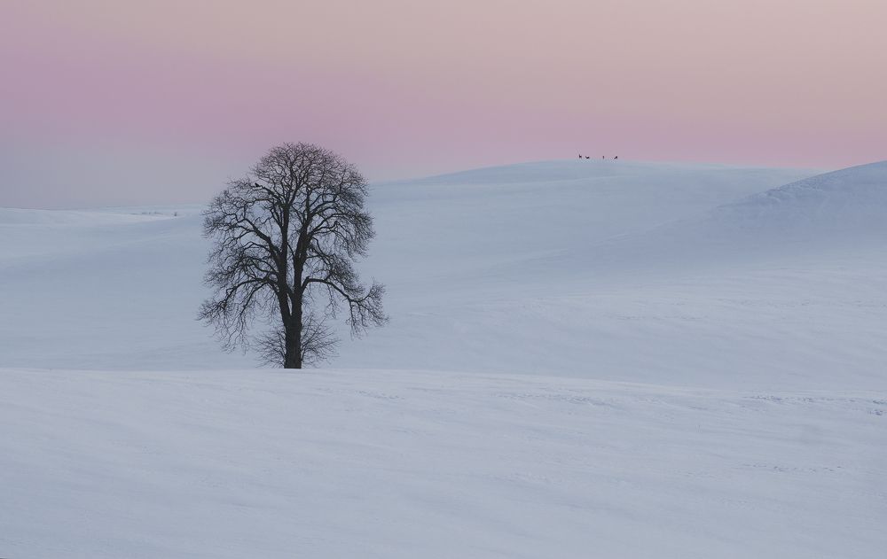 Photograph by Lukasz Zugaj