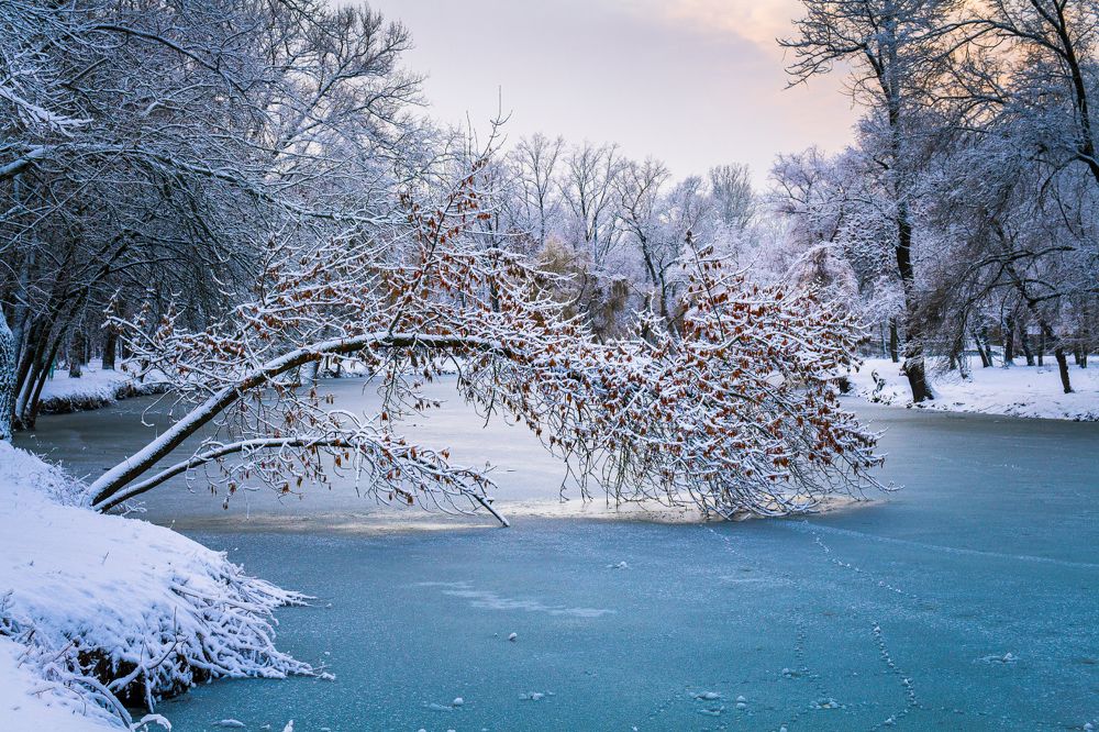 Photograph by Анна Хазова