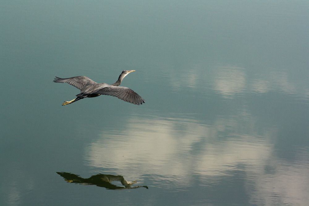Фотография автора Omar Sanad