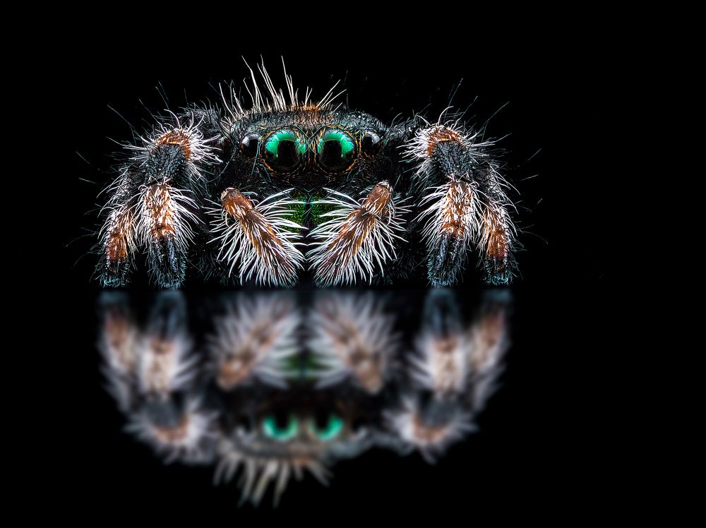 Photograph by Pedro Luis Ajuriaguerra Saiz