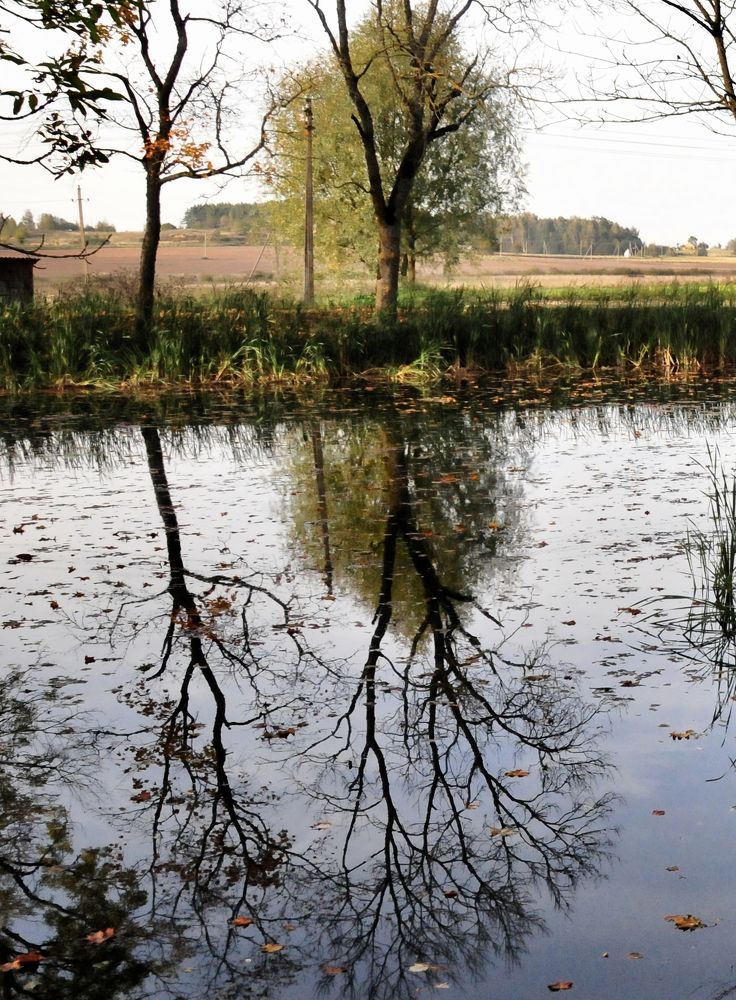 Photograph by Аудрюс Балчетис