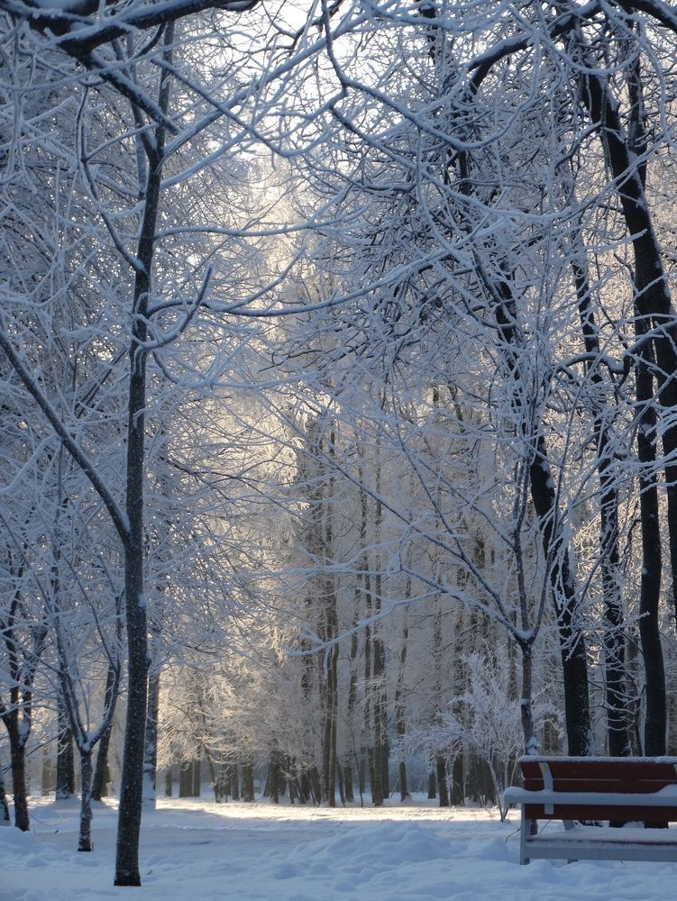 Photograph by Александра Мазур
