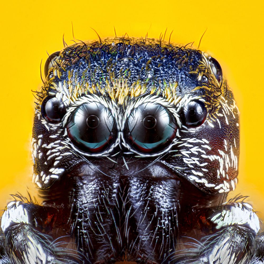 Photograph by Pedro Luis Ajuriaguerra Saiz