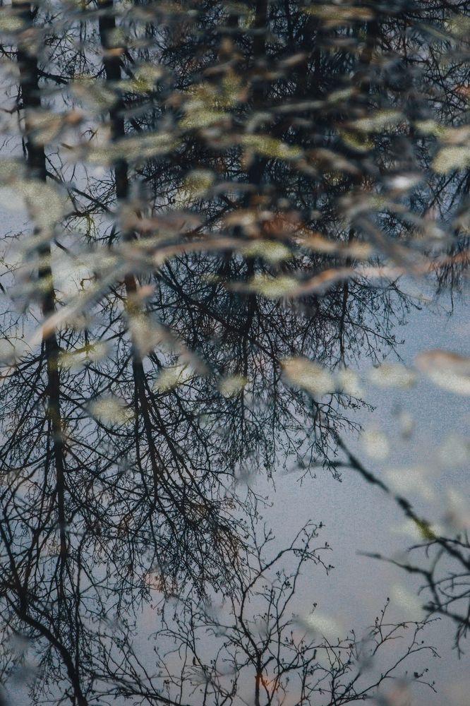 Фотография автора Станислава Гордеева