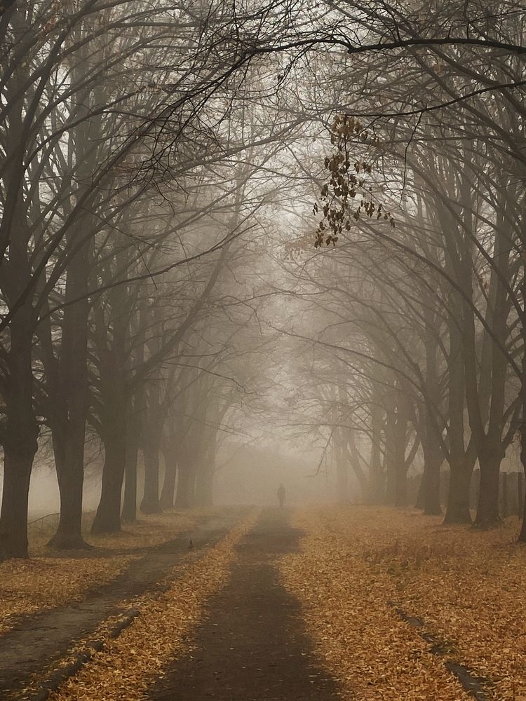 Photograph by Косяченко Светлана