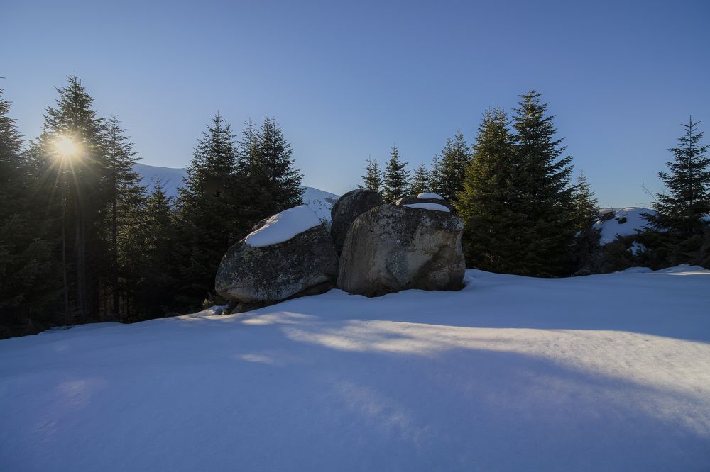 Photograph by Dejan Sajkovski