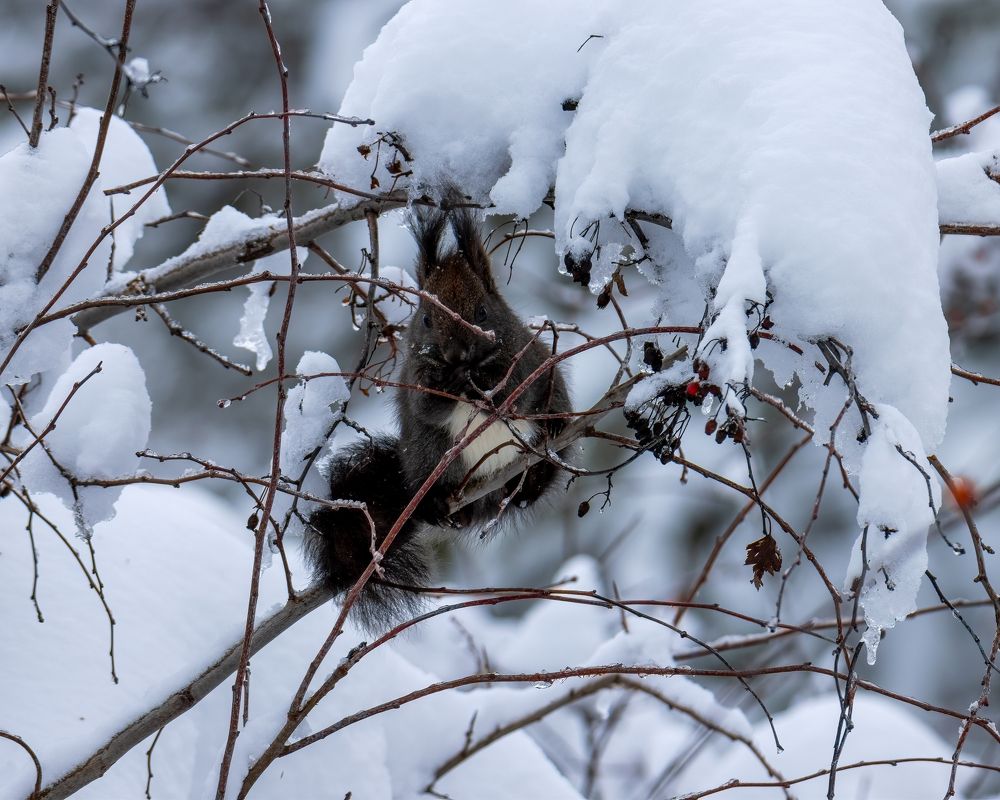 Photograph by Dejan Sajkovski