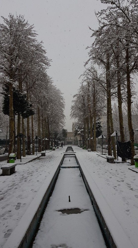 College of Engineering, University of Tehran