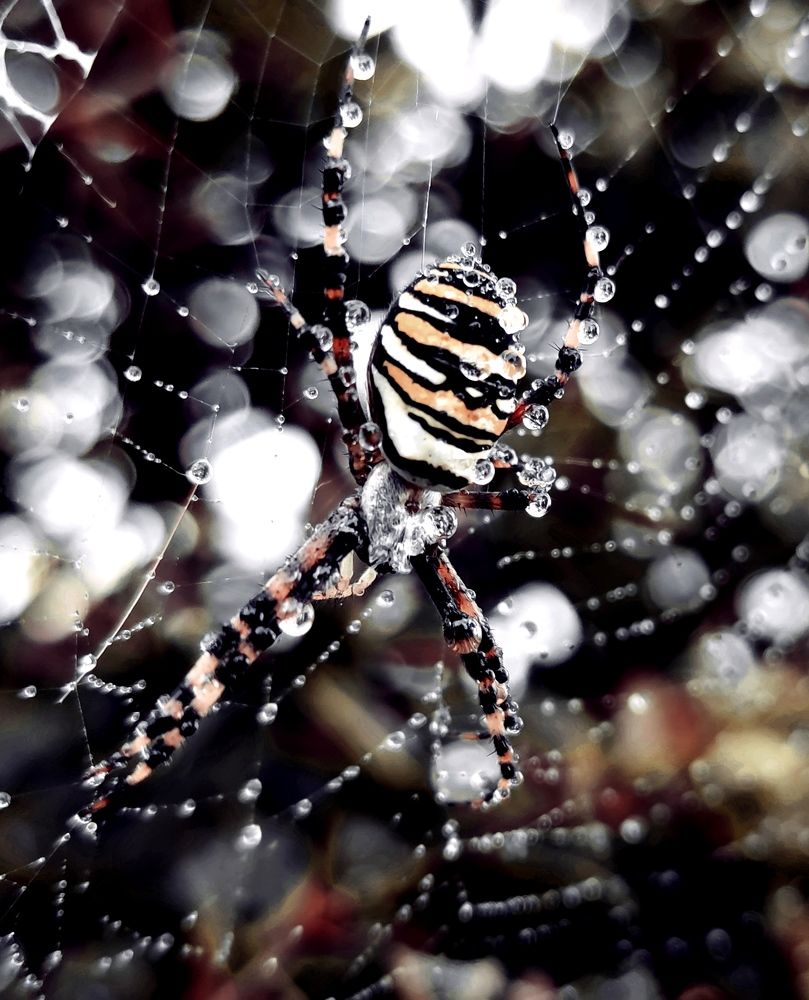 Photograph by Инна Макарчук