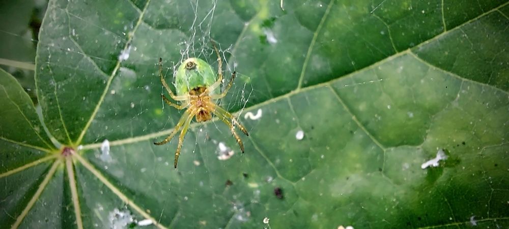 Photograph by Epp Tappel