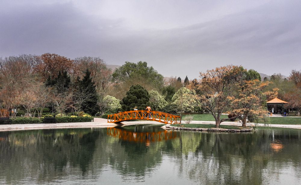 Photograph by Ольга Еженевская