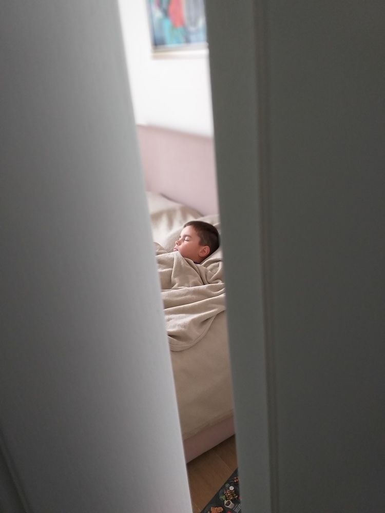 Photo #6952902