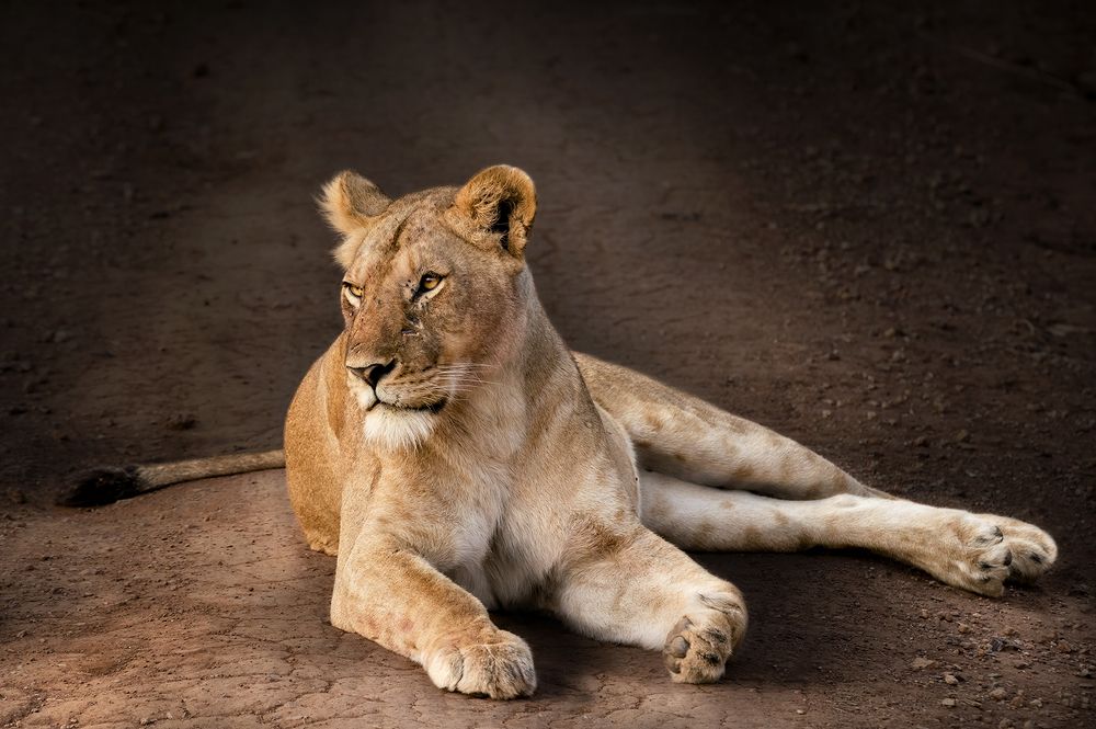 Photograph by MONICA L CORCUERA