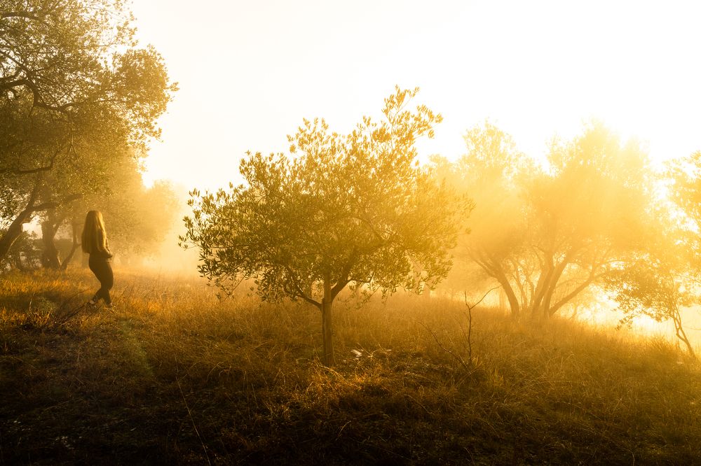 Photograph by Davide Goldin