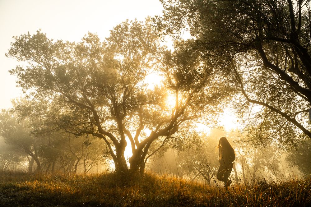 Photograph by Davide Goldin