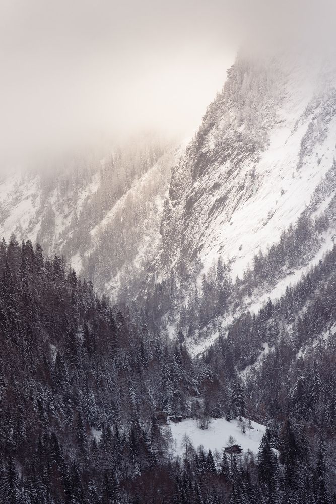 Photograph by Yulia Sosedova