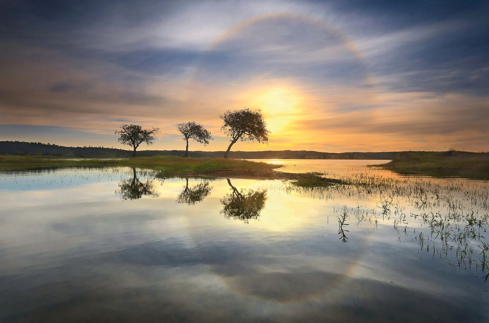 Photograph by Filipe Correia