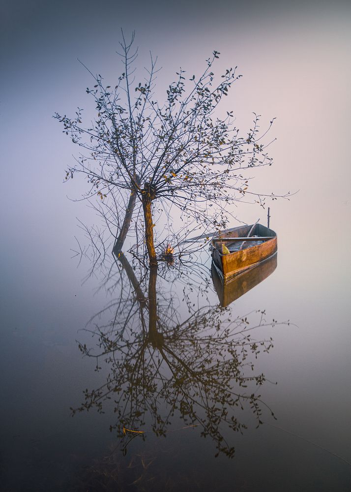 Photograph by Filipe Correia