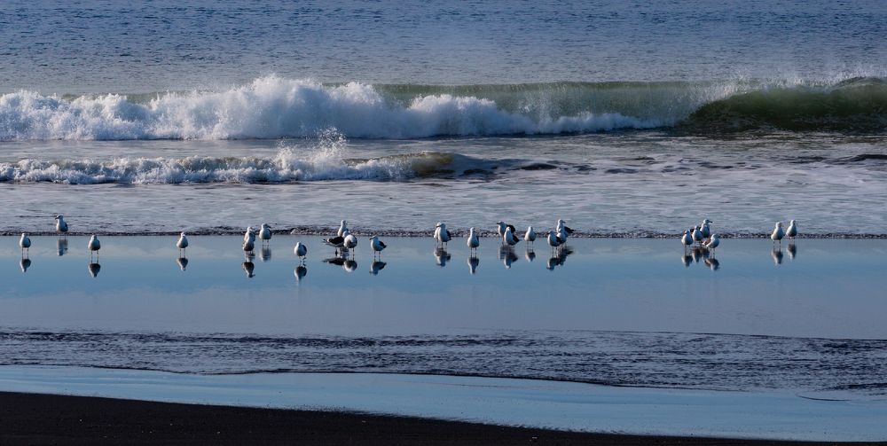 Photograph by Александр Максин