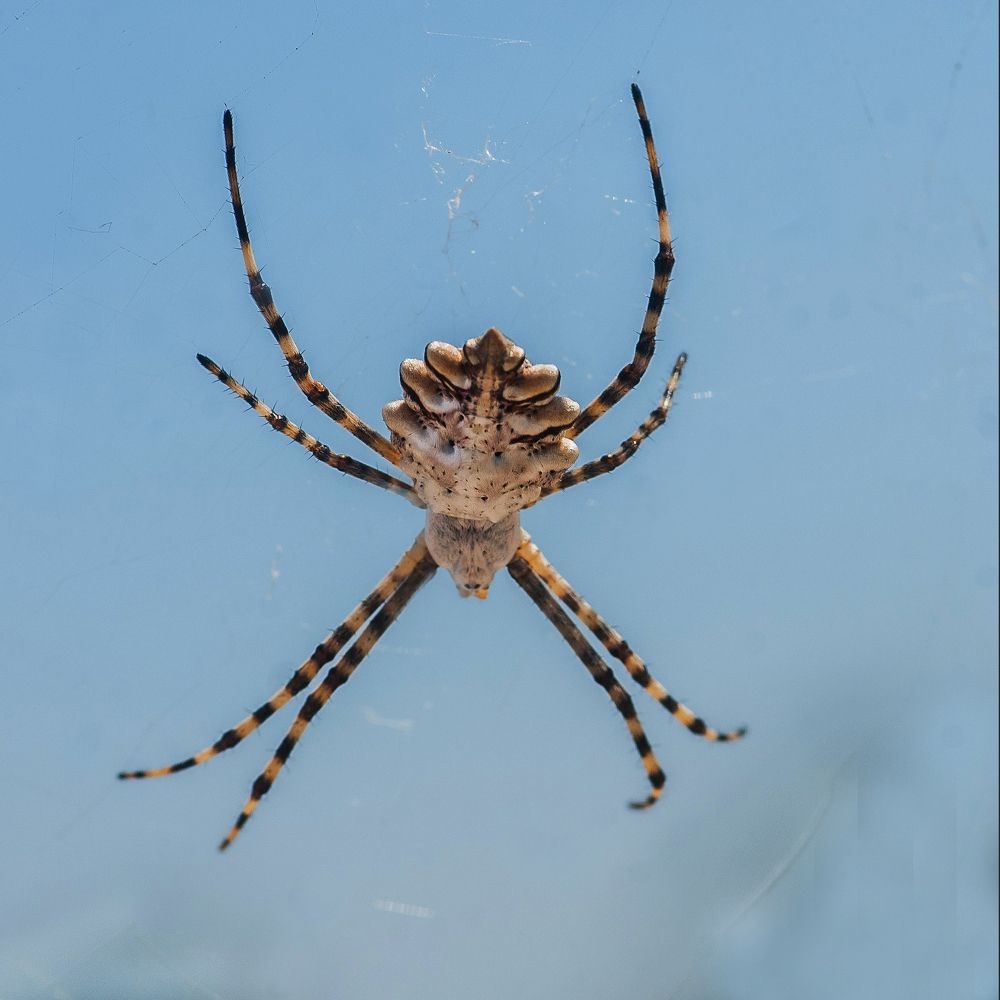 Photograph by Даркина Дарья