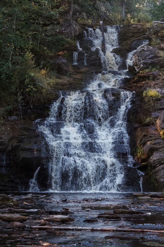 Photograph by Светлана Холодняк