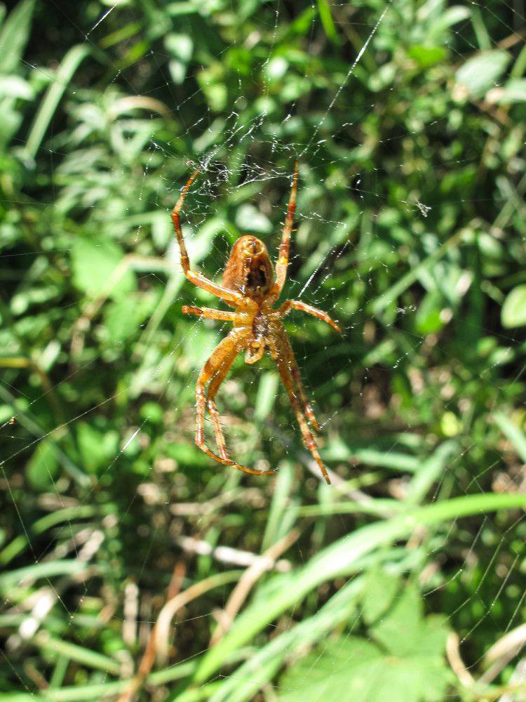 Photograph by Дарья Погонцева