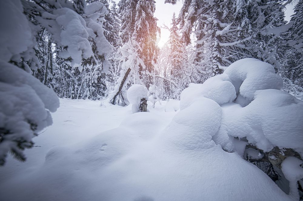 Photograph by Анастасия Третьякова