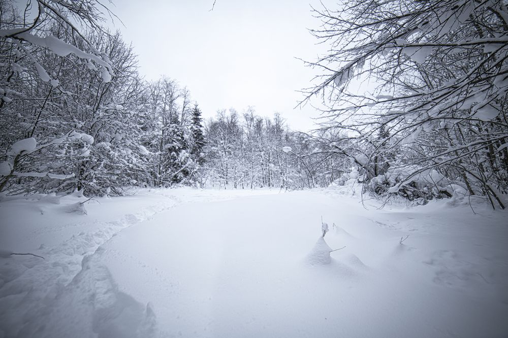 Photograph by Анастасия Третьякова