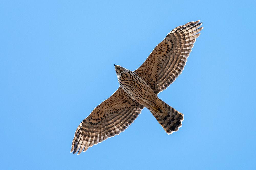 Photograph by Виктор Чернюк