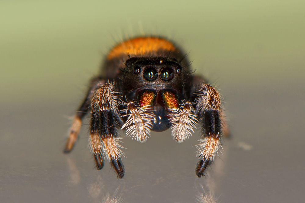 Photograph by Анастасия Третьякова