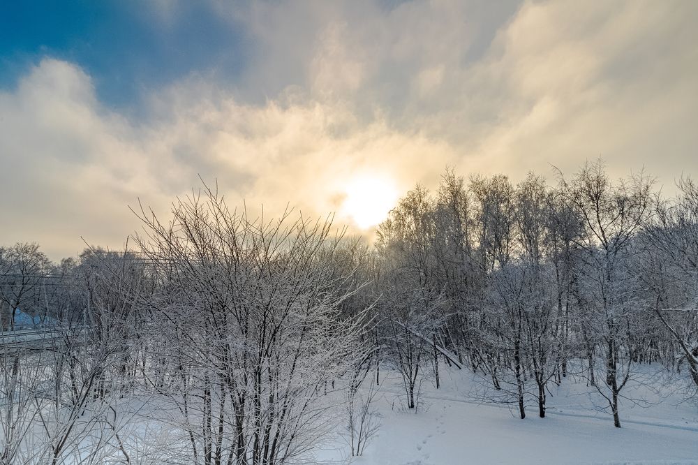 Photograph by Алексей Чеботарев