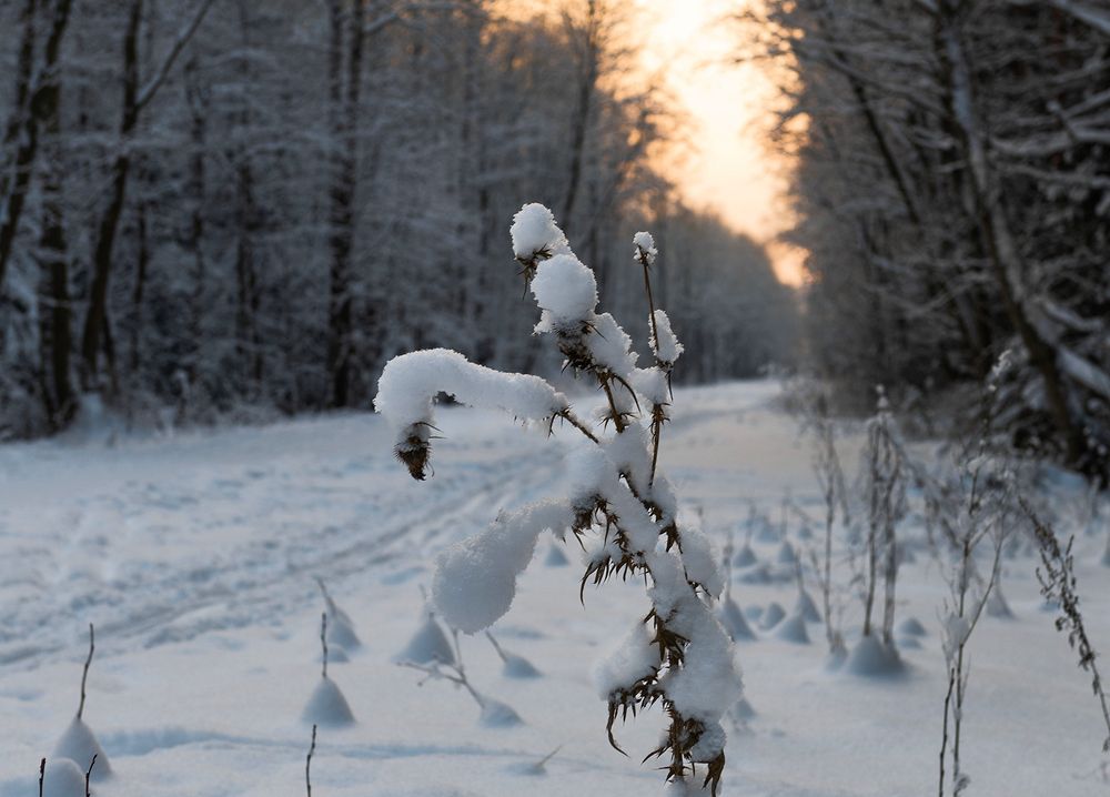 Photograph by Сергей Калинников
