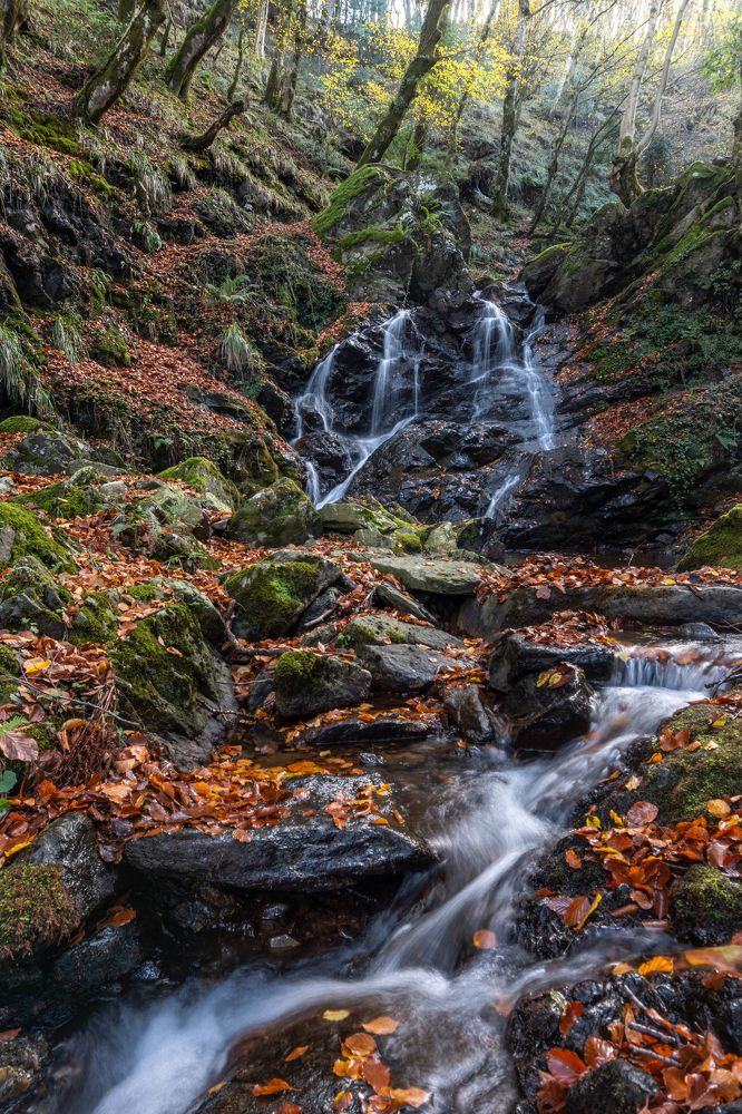 Photograph by Guido Calogero