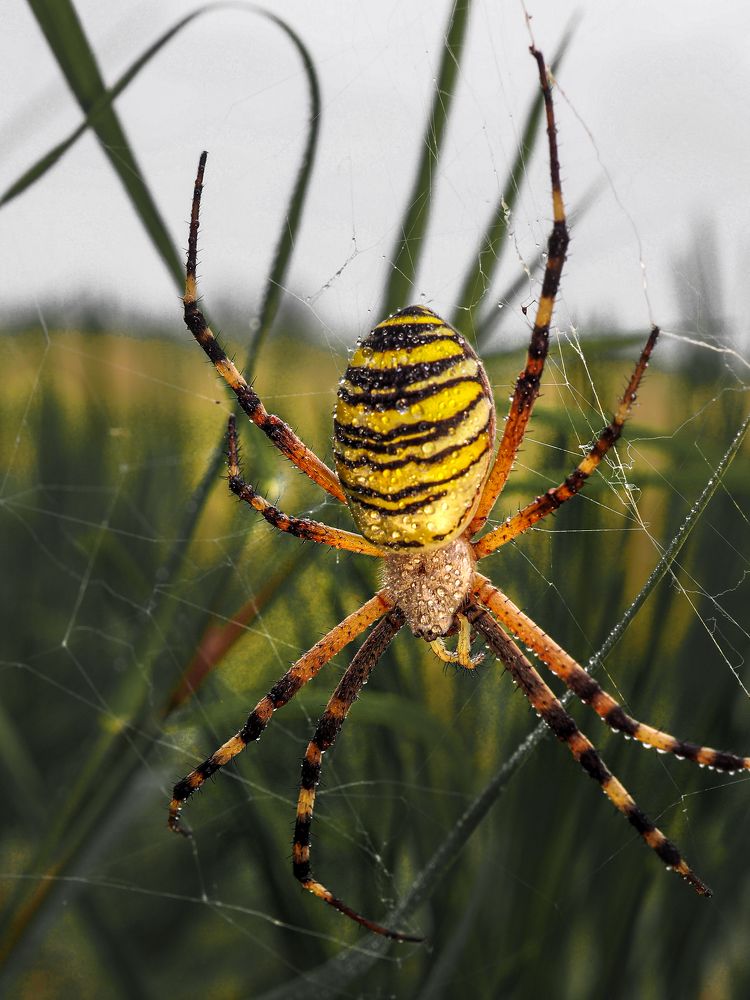 Photograph by Марина Сидоренко