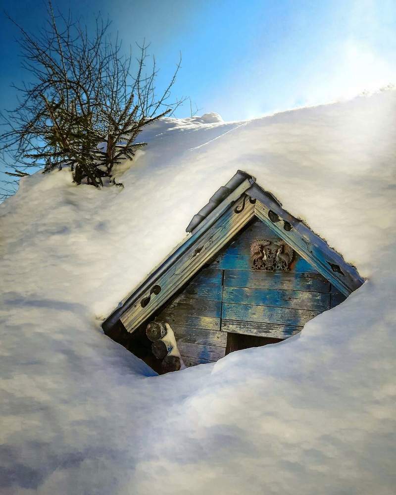 Photograph by Светлана Моисеева