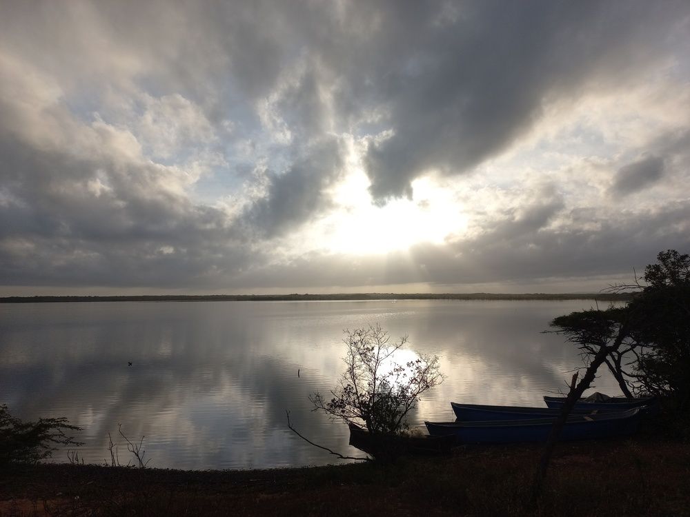 Photo #6953291