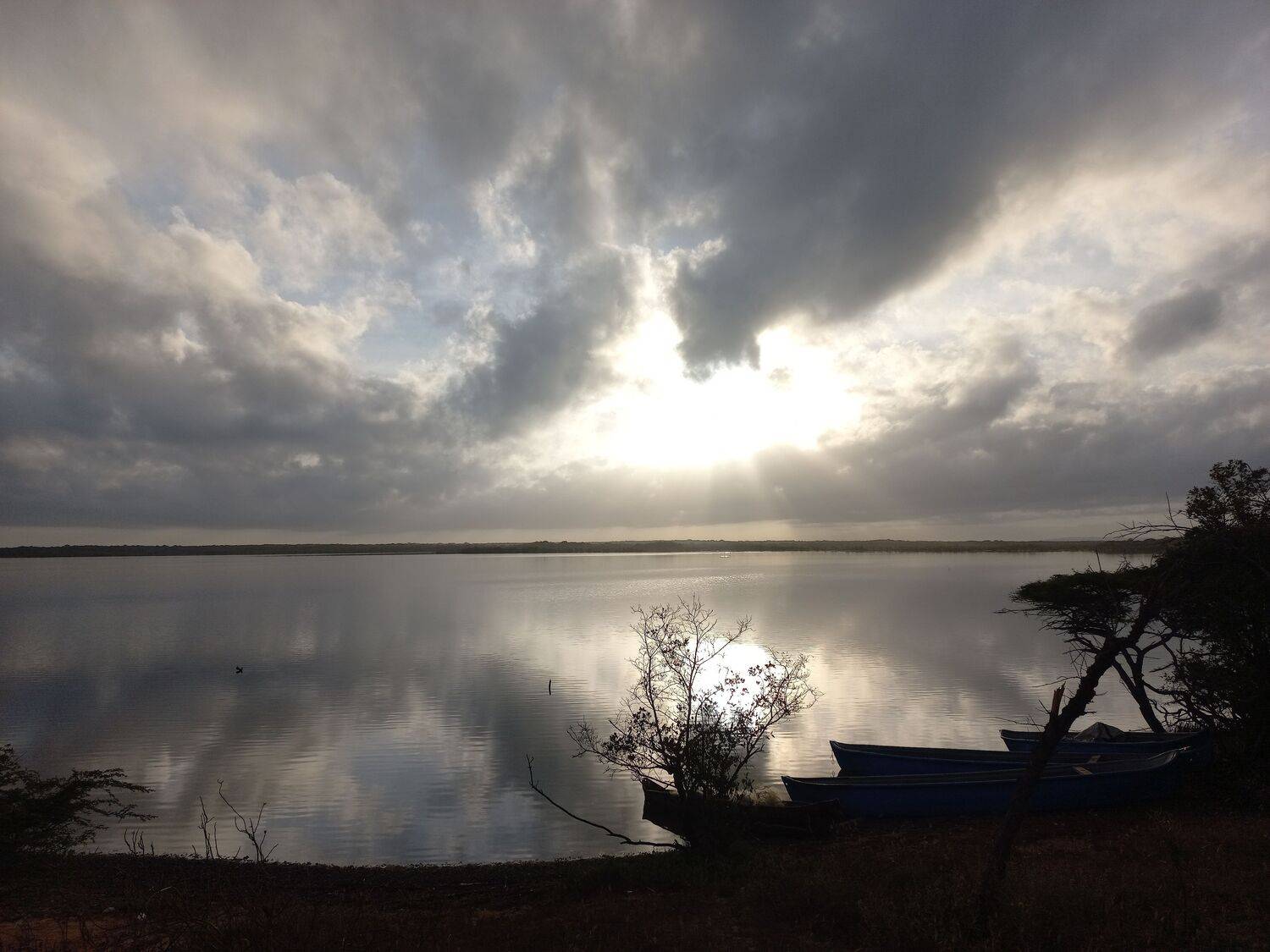Photo #6953291