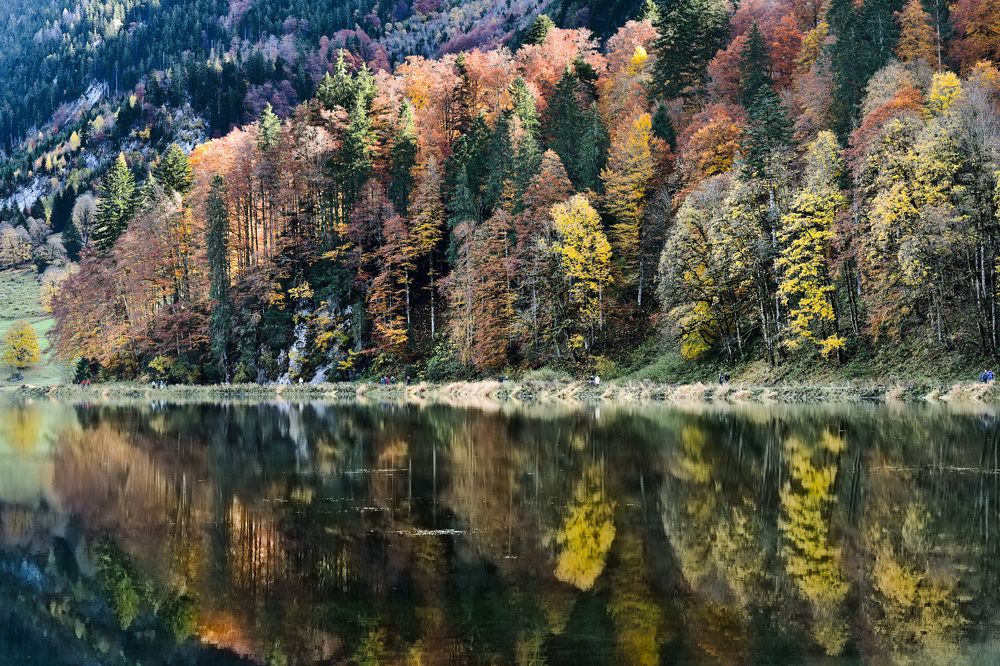 Photograph by Yulia Sosedova