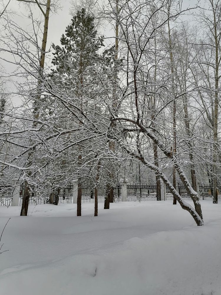 Зимнее утро