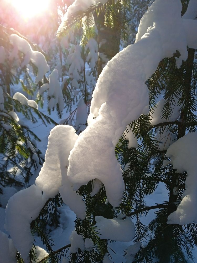 Photograph by Светлана Олина